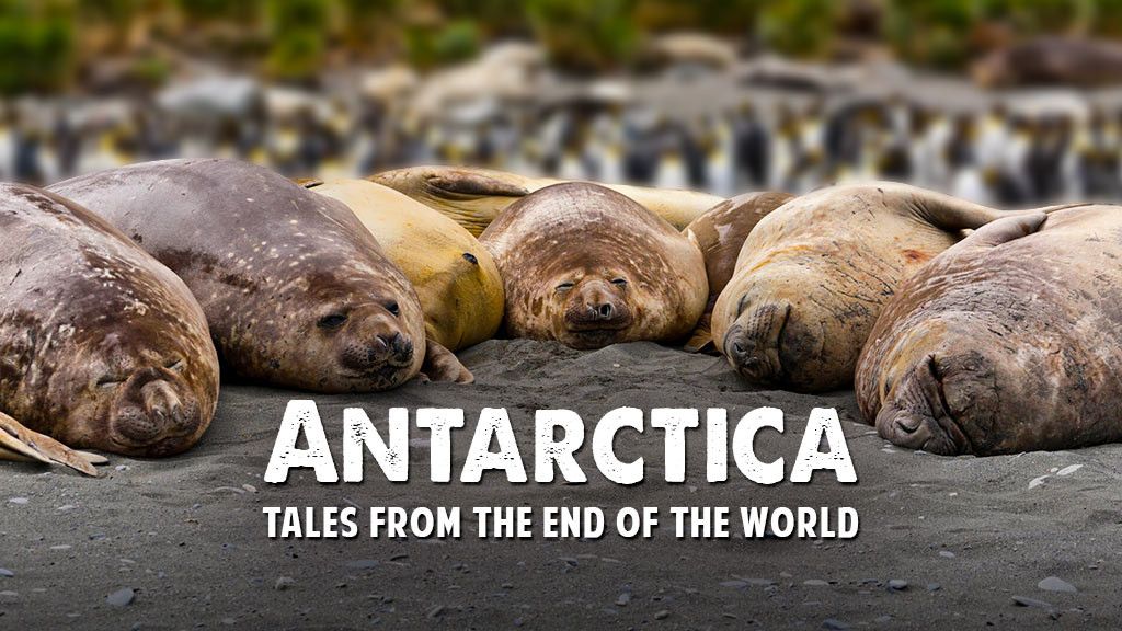 ANTARCTICA - TALES FROM THE END OF THE WORLD Full Movie Online - Watch