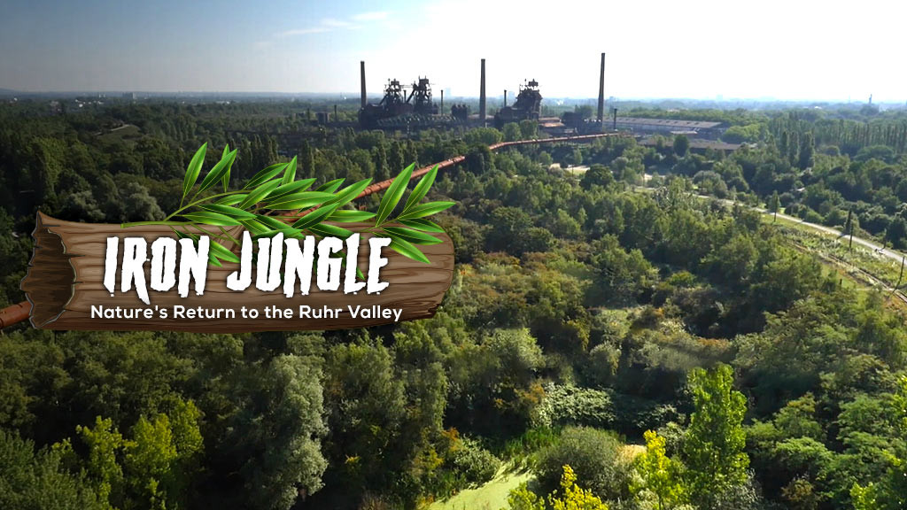 Watch Iron Jungle Nature's Return to the Ruhr Valley Movie Online