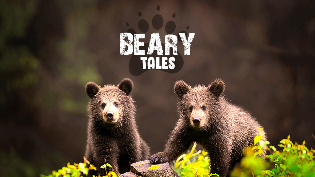 Beary Tales Full Movie Online - Watch HD Movies on Airtel Xstream Play