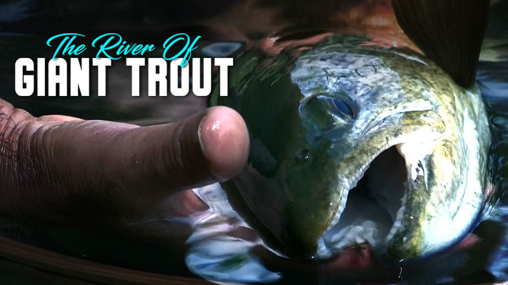 The River Of Giant Trout Full Movie Online Watch HD Movies on Airtel