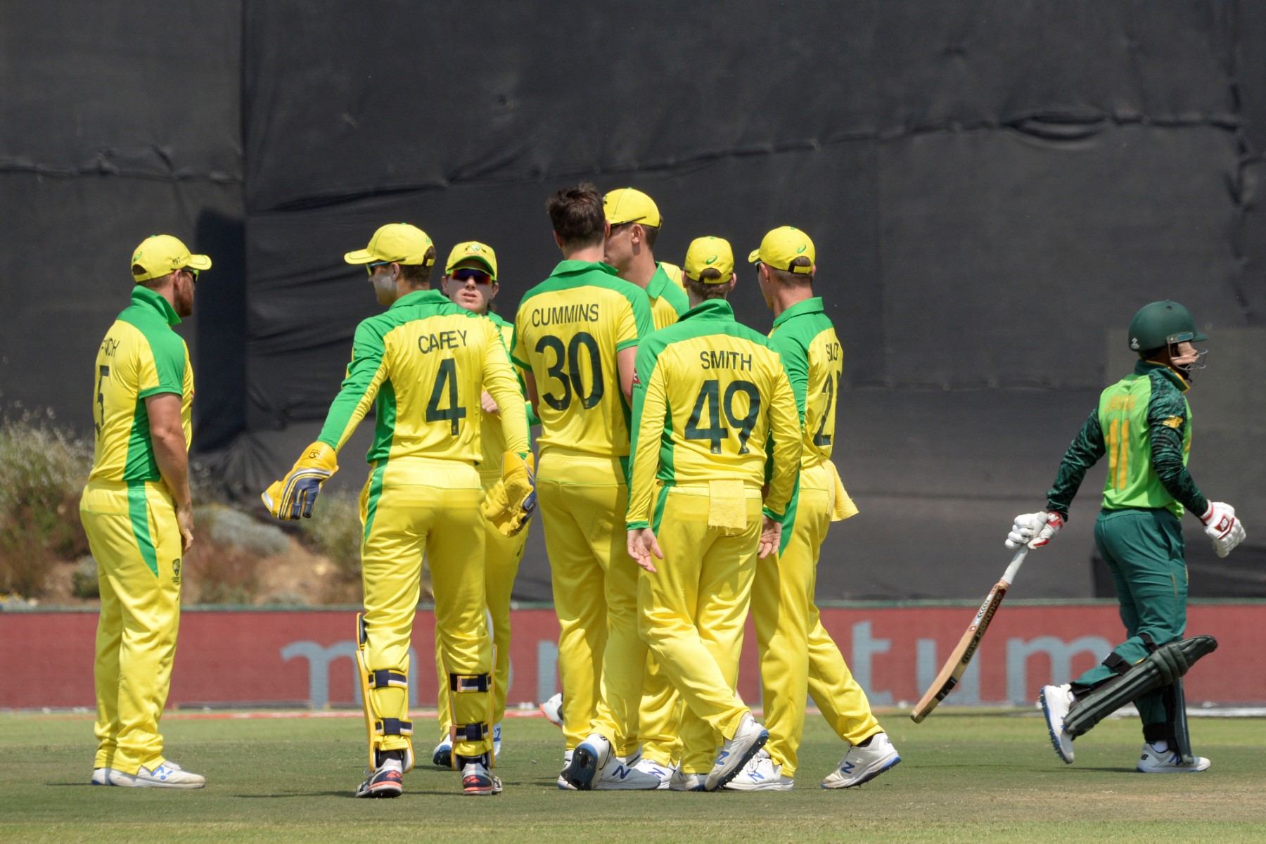 Watch Live Action Alert! South Africa vs Australia 2023 on FanCode ...