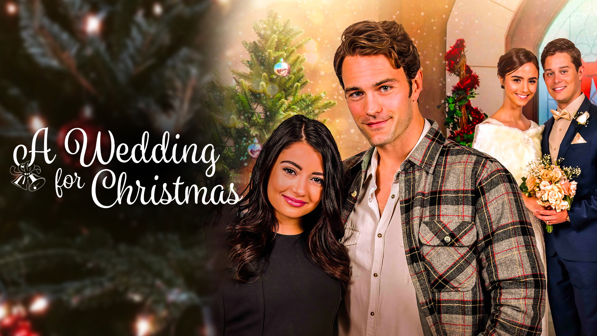 Crown For Christmas Full Movie Online Free A Wedding for Christmas Full Movie Online - Watch HD Movies on Airtel