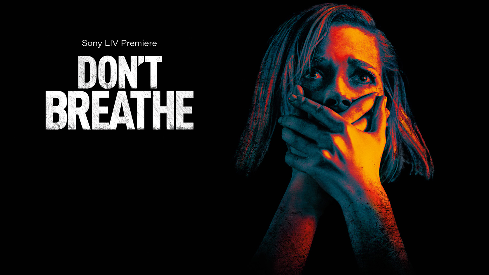 Don't Breathe Full Movie Online Watch HD Movies on Airtel Xstream Play